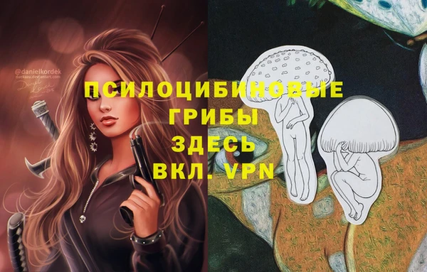 MESCALINE Гусь-Хрустальный